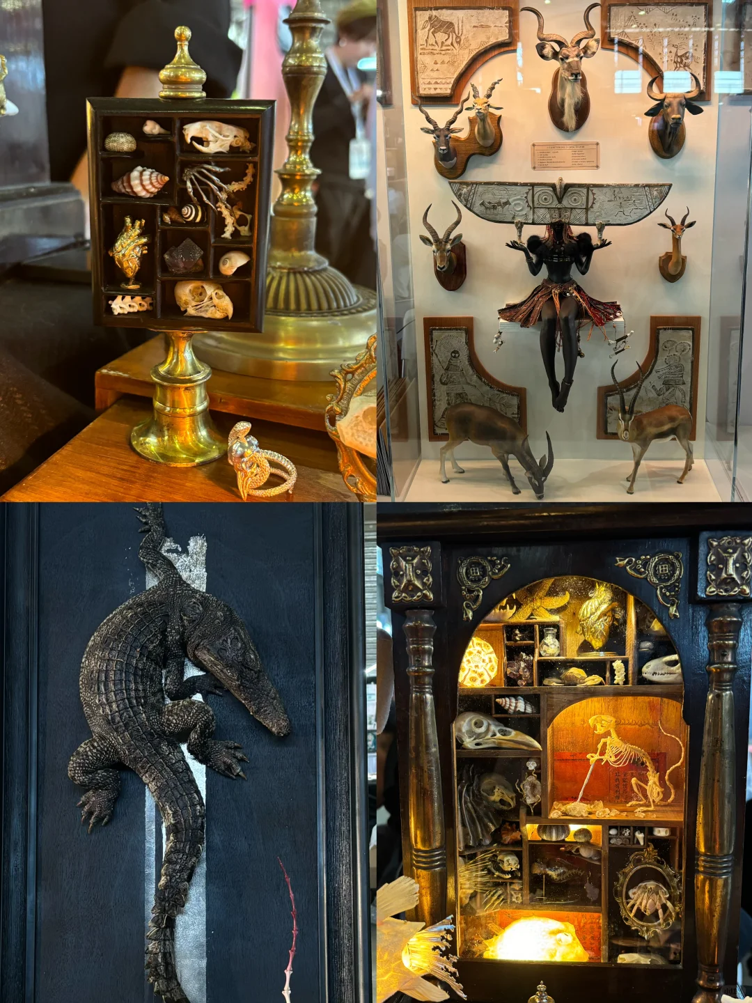 逛玩具展❗️时隔四年再去上海WF好失望