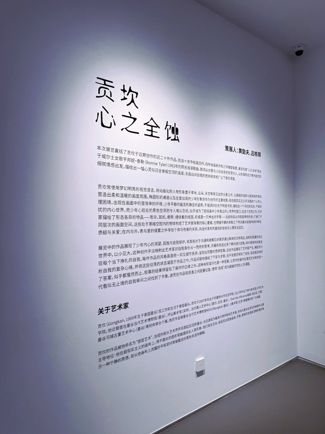 帝都新晋艺术地标！！！