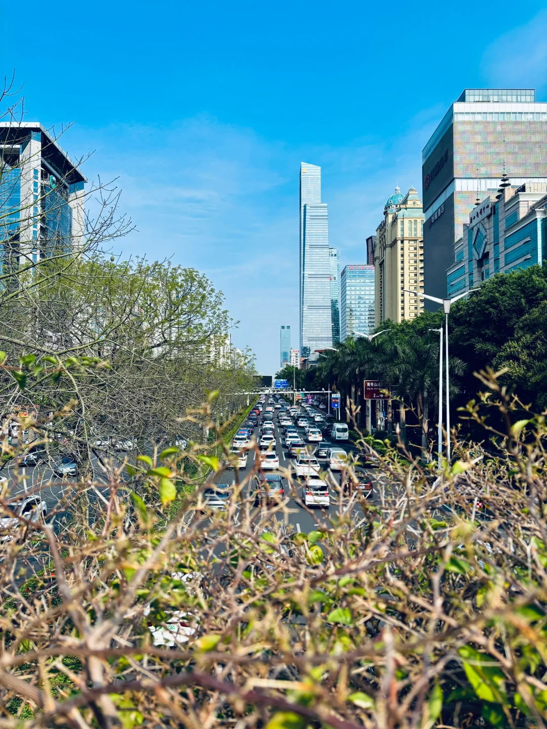 好久没来会展航洋…?