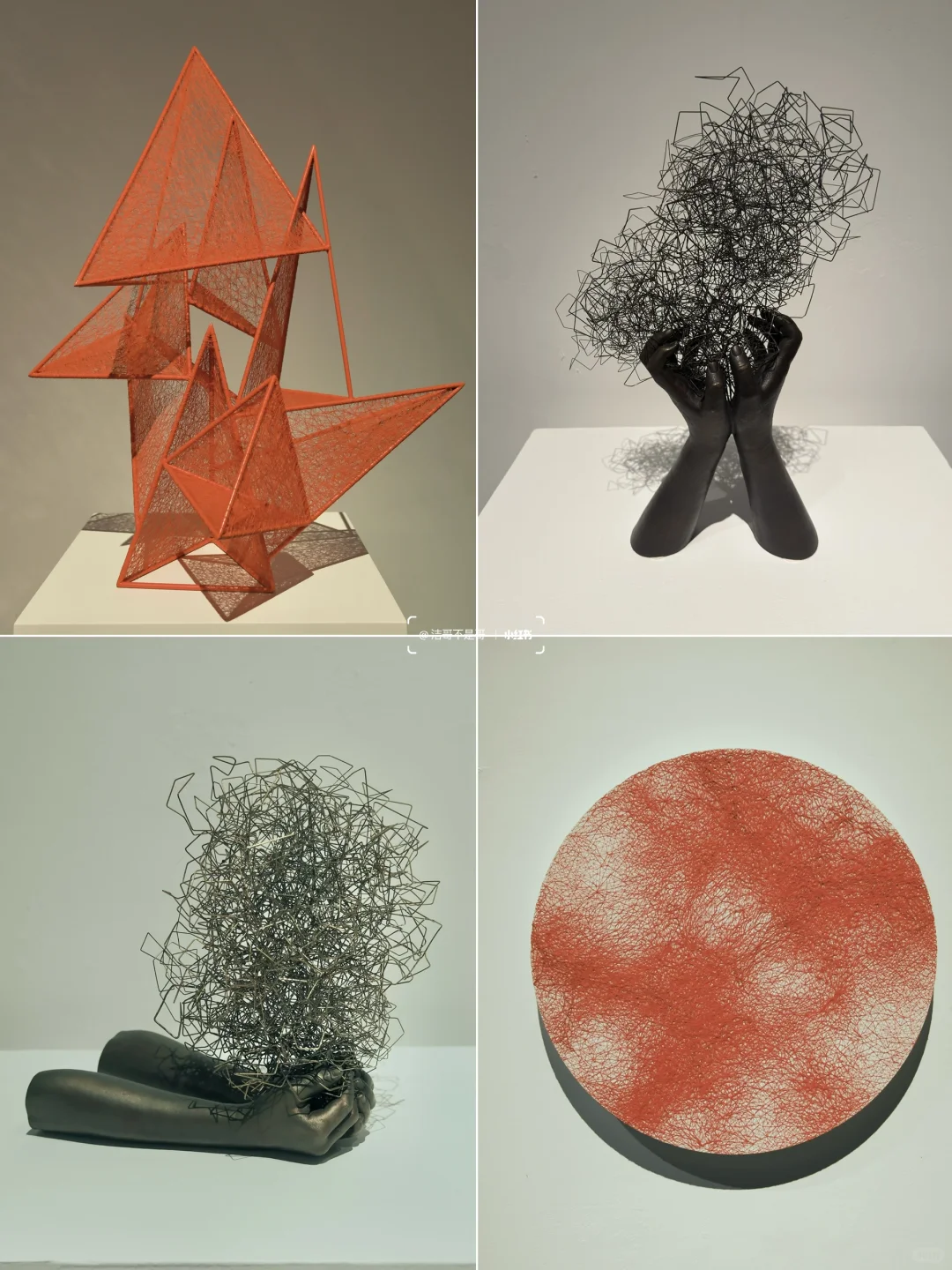 深圳?免预约❗️近期最震撼的新展❗️