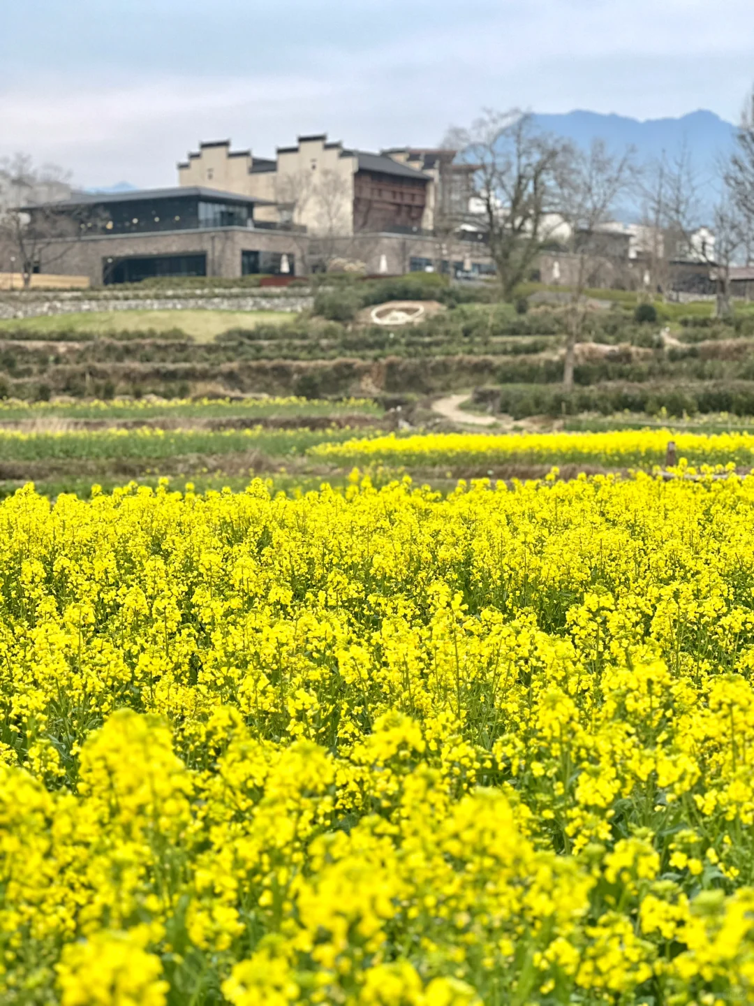 人生首个168公里越野赛还没开始就结束啦