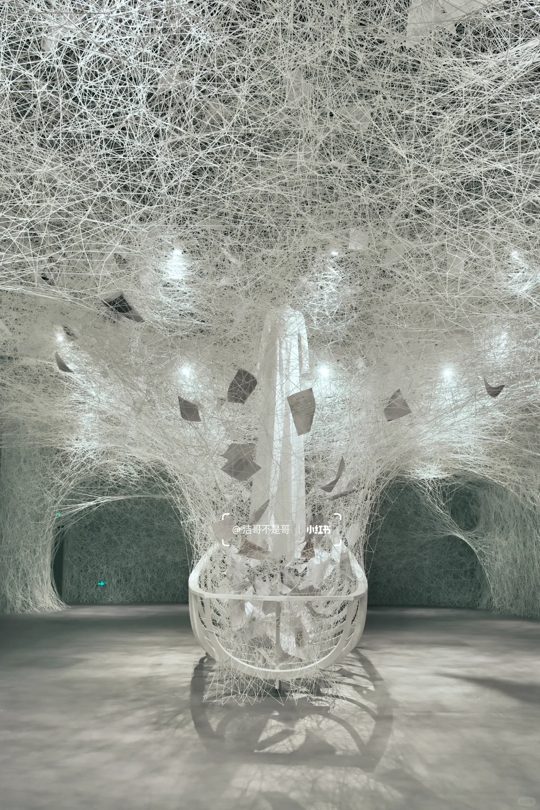 深圳?免预约❗️近期最震撼的新展❗️