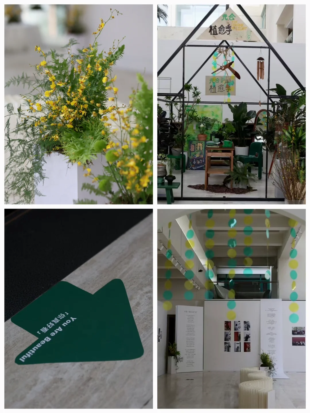 在三线小城做影展,那些好拍的绿色系场布