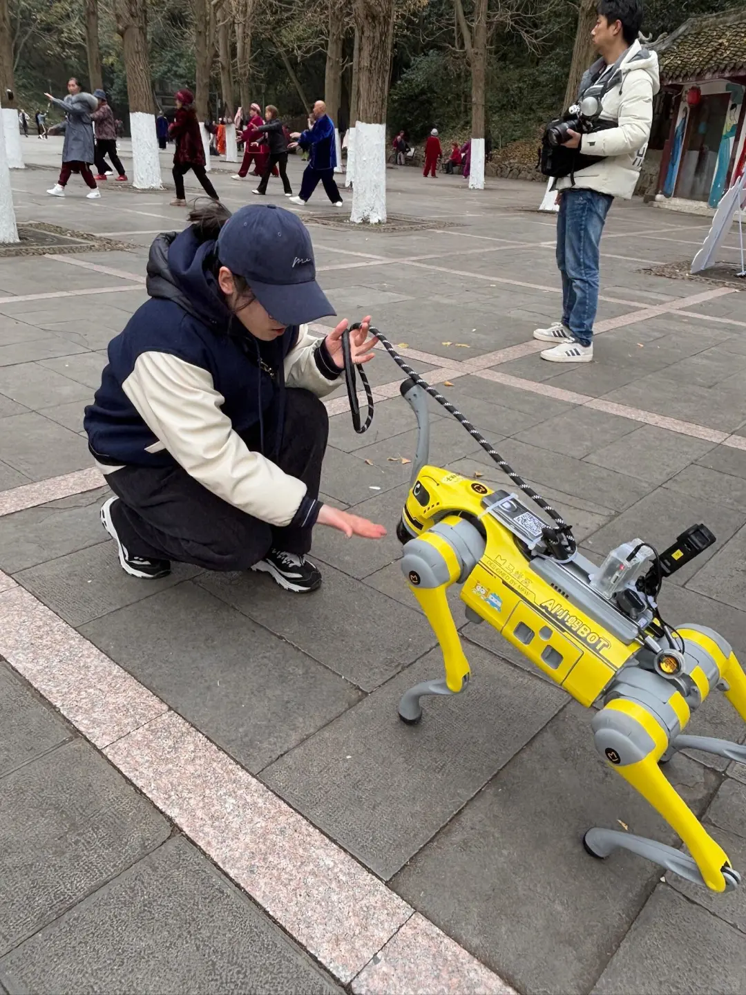 恩施展览会博览会运动会，机器狗表演，租赁