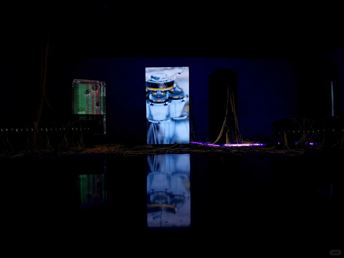 【深圳新展】数字世界真的太好拍了‼️