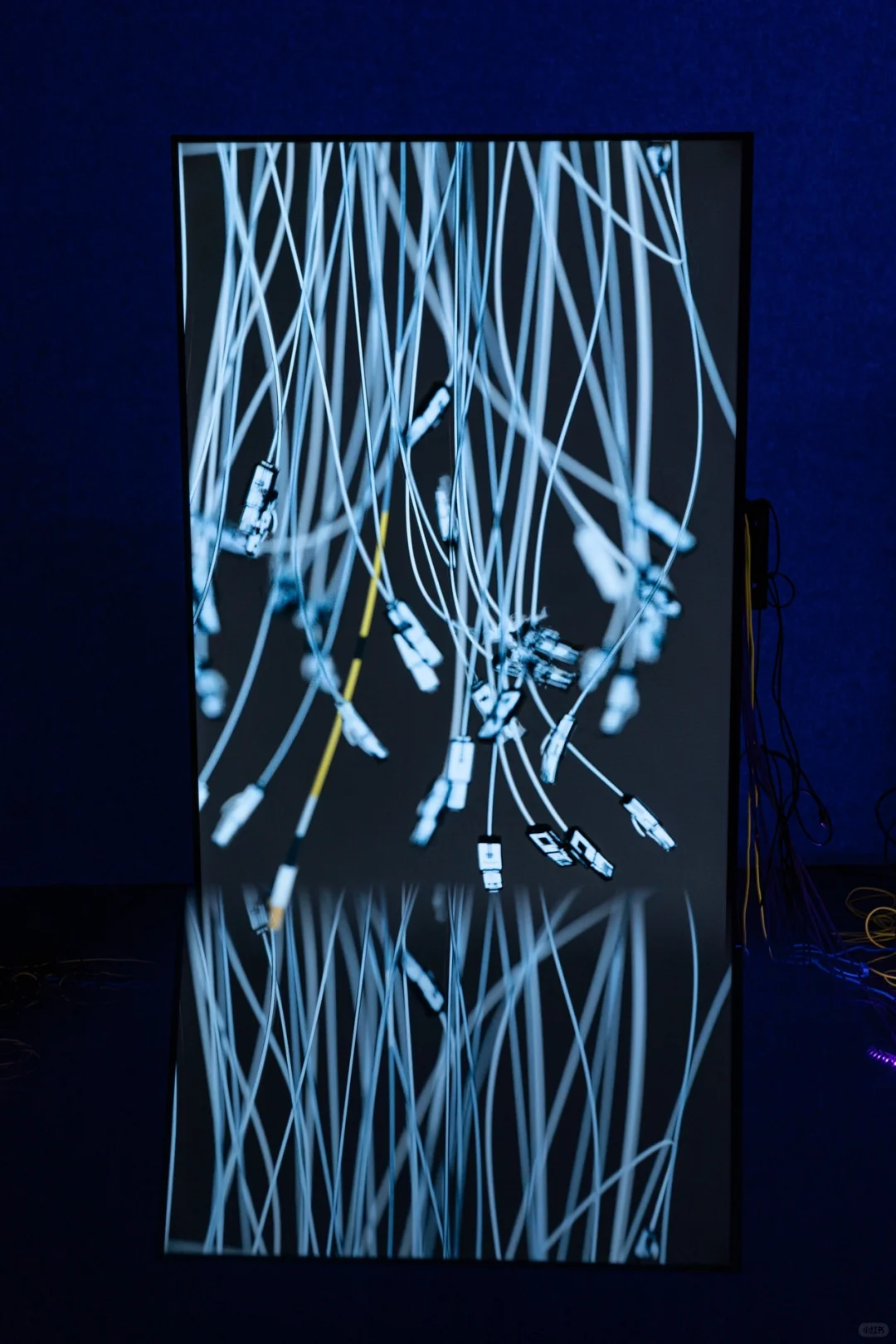 【深圳新展】数字世界真的太好拍了‼️