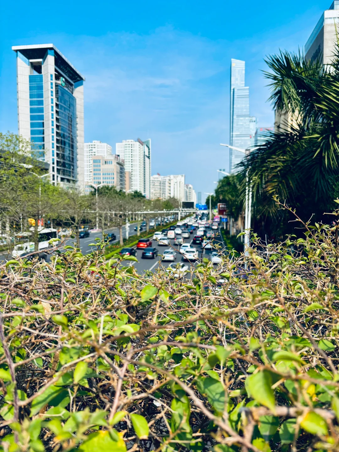 好久没来会展航洋…?