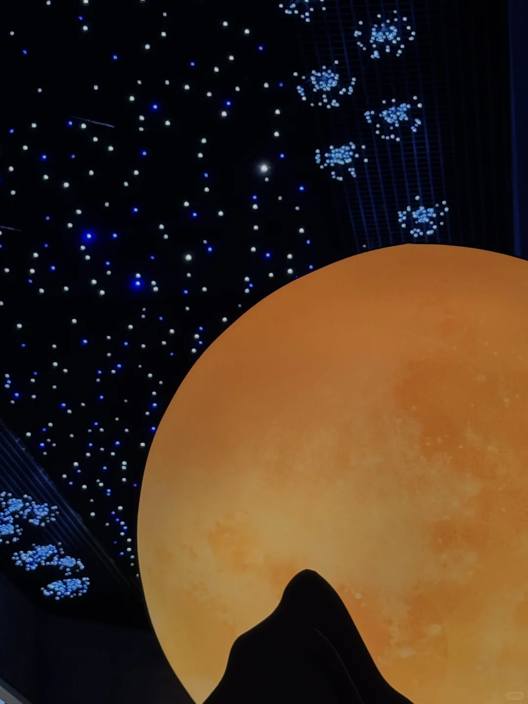 ?深圳蝴蝶展｜人少展美且不用预约