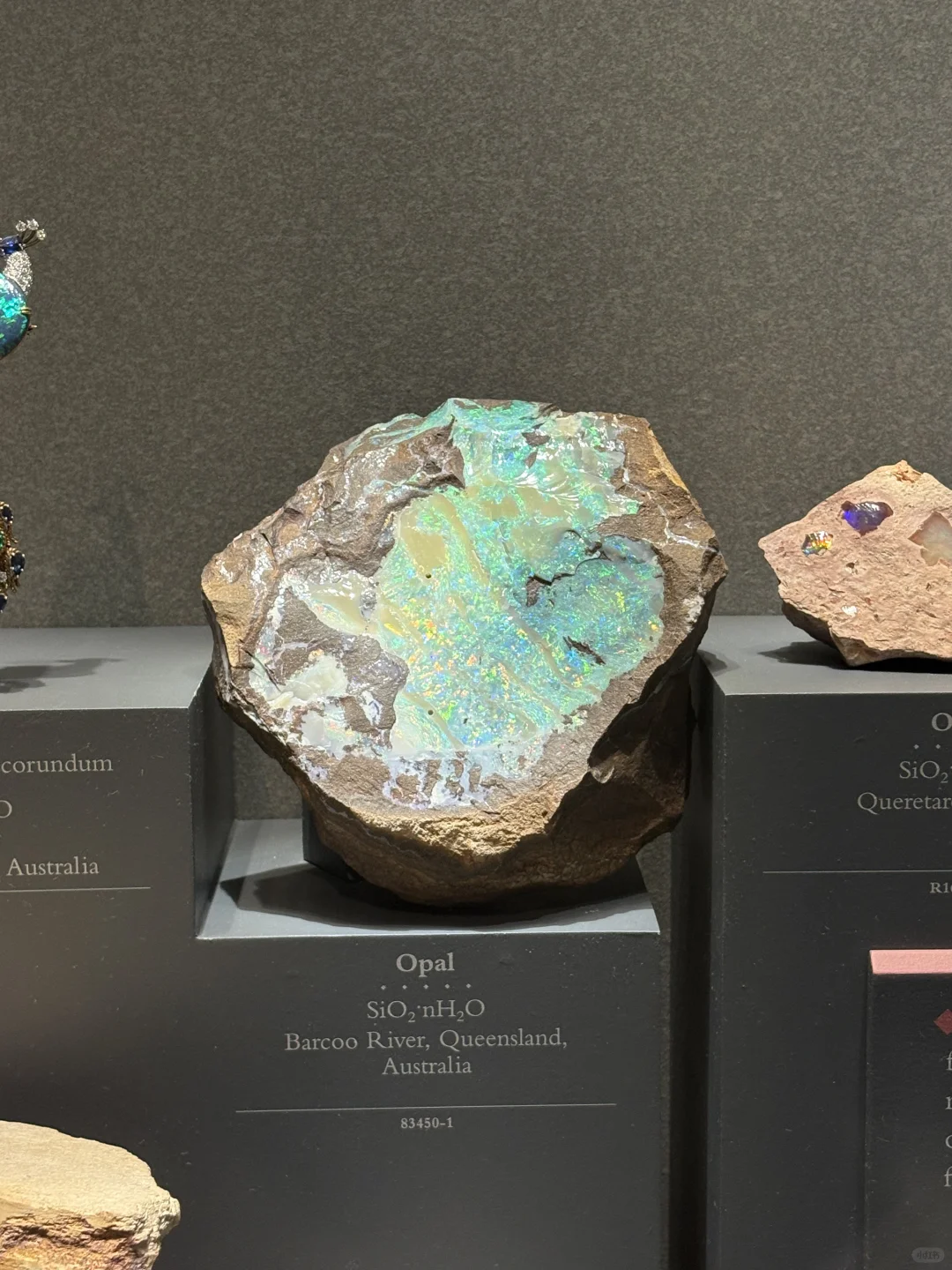 终于看到了海洋之心！