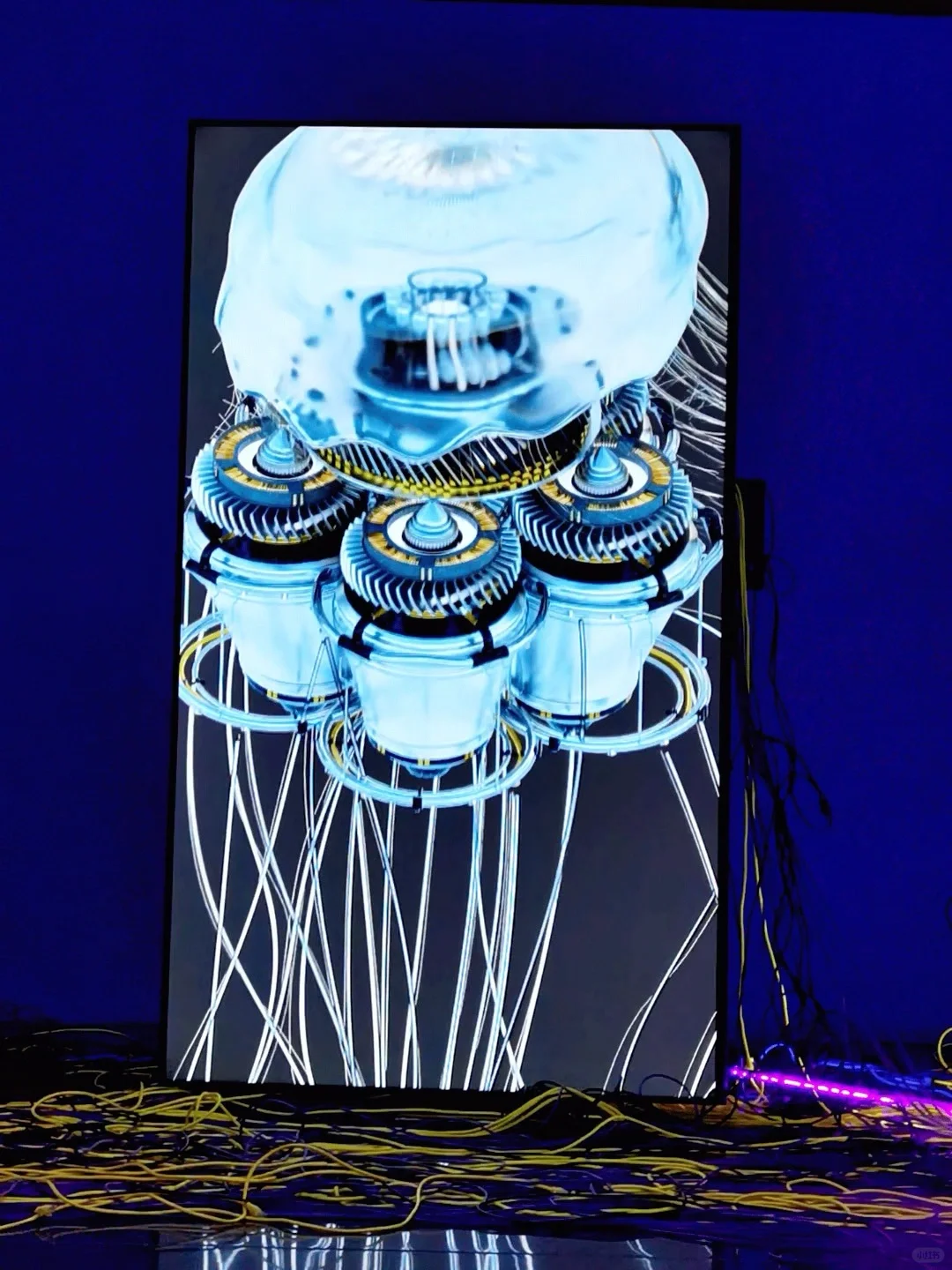 【深圳新展】数字世界真的太好拍了‼️