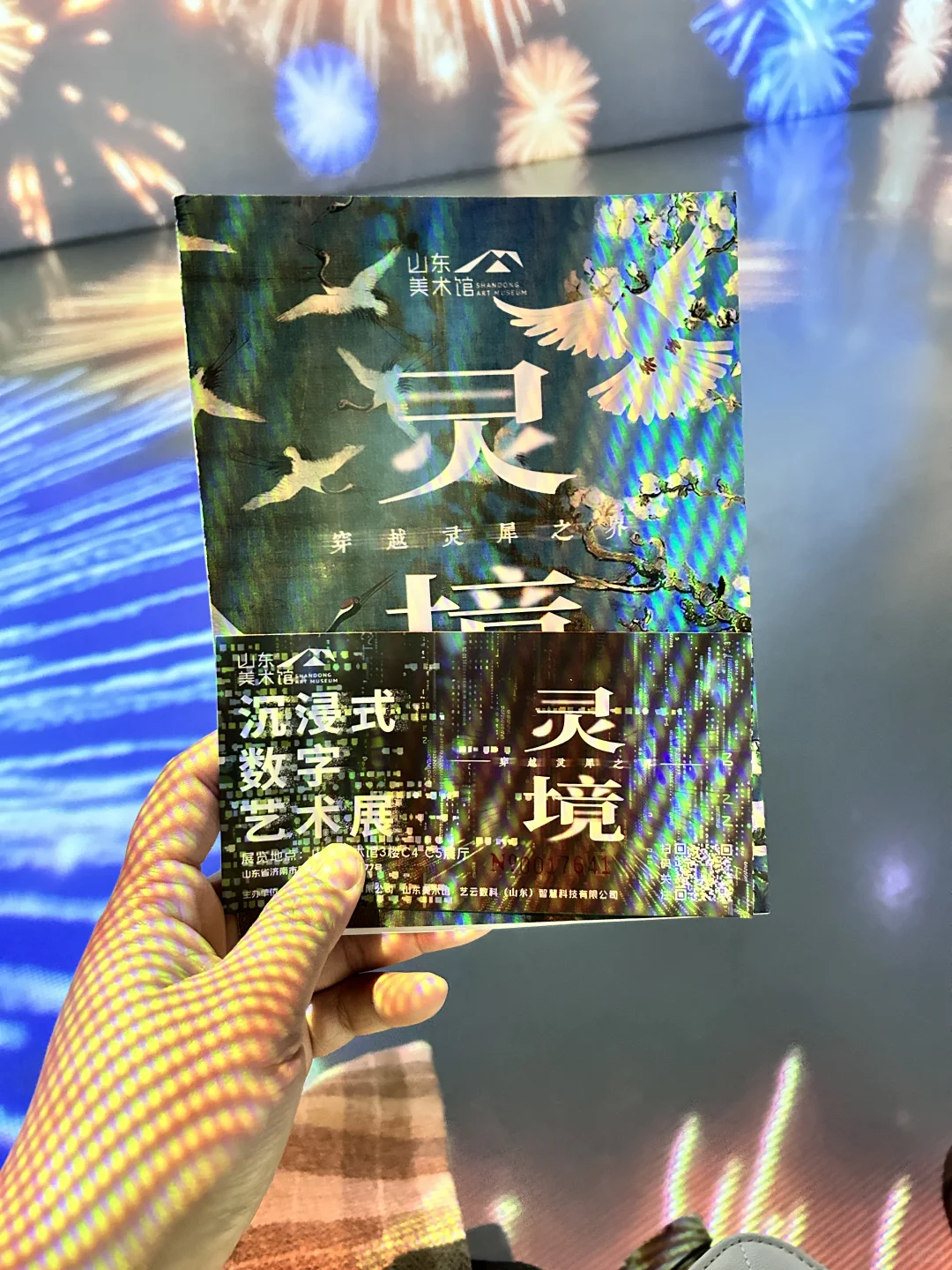 美术馆偶遇一场美轮美奂的展览