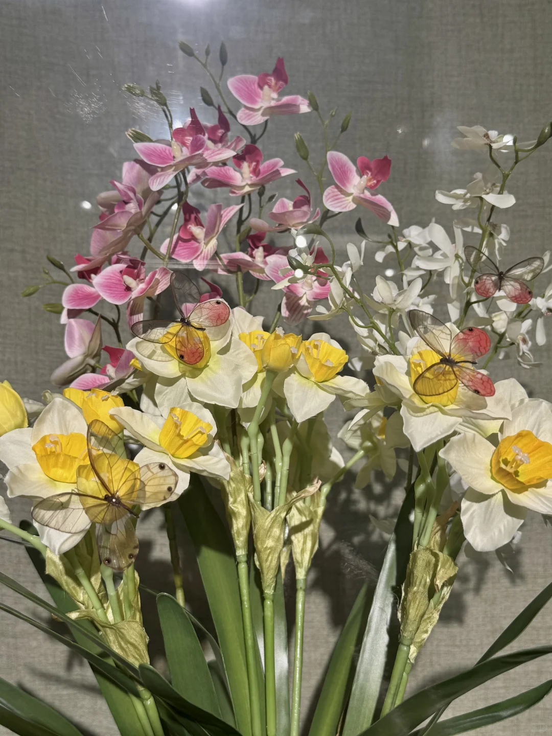 ?深圳蝴蝶展｜人少展美且不用预约