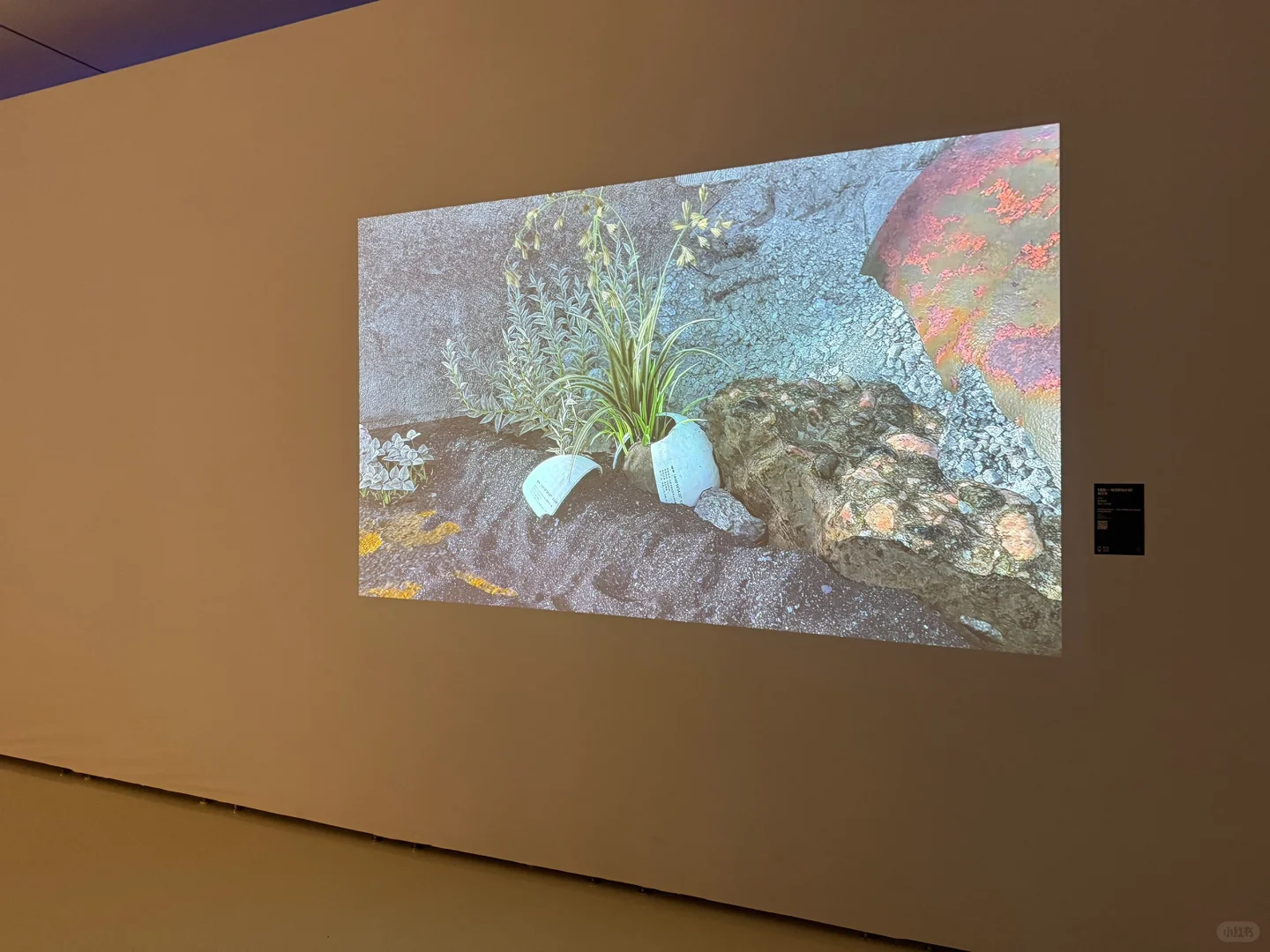 春暖花开，看了個展?Art District?