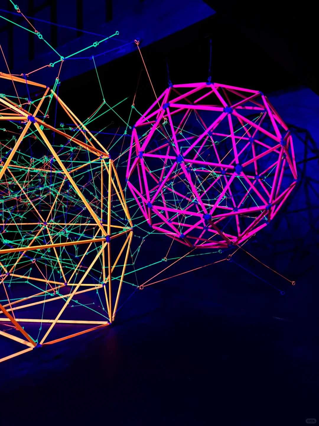 ??巴黎 沉浸式 感官游乐场 ｜数字艺术