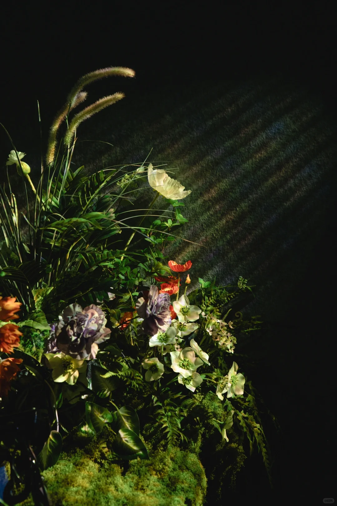 【深圳新展】数字世界真的太好拍了‼️