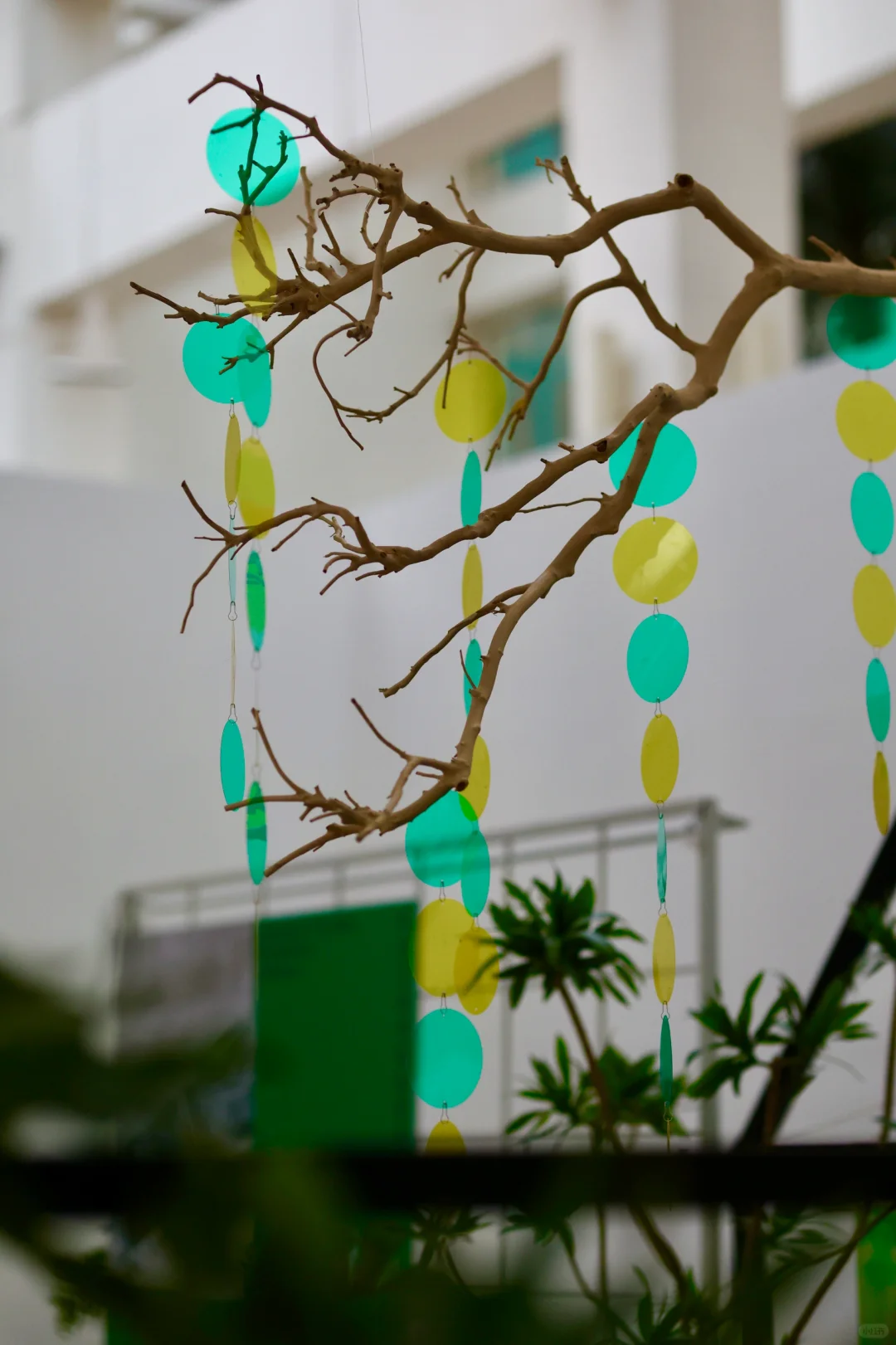 在三线小城做影展,那些好拍的绿色系场布