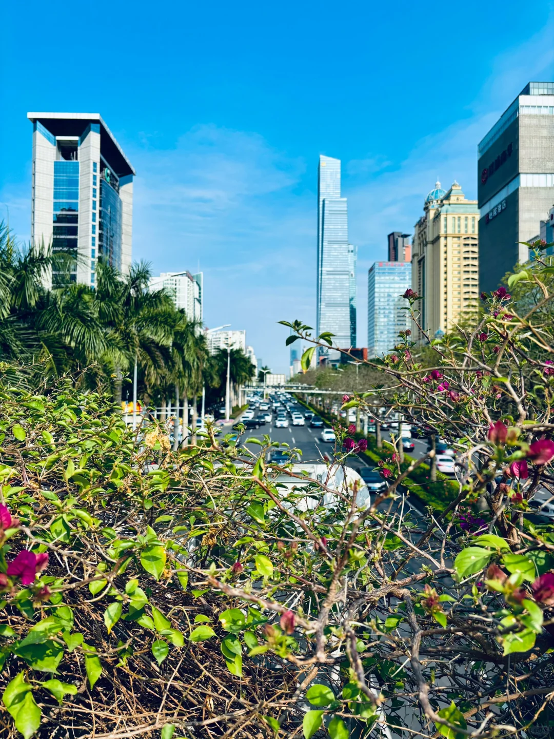 好久没来会展航洋…?