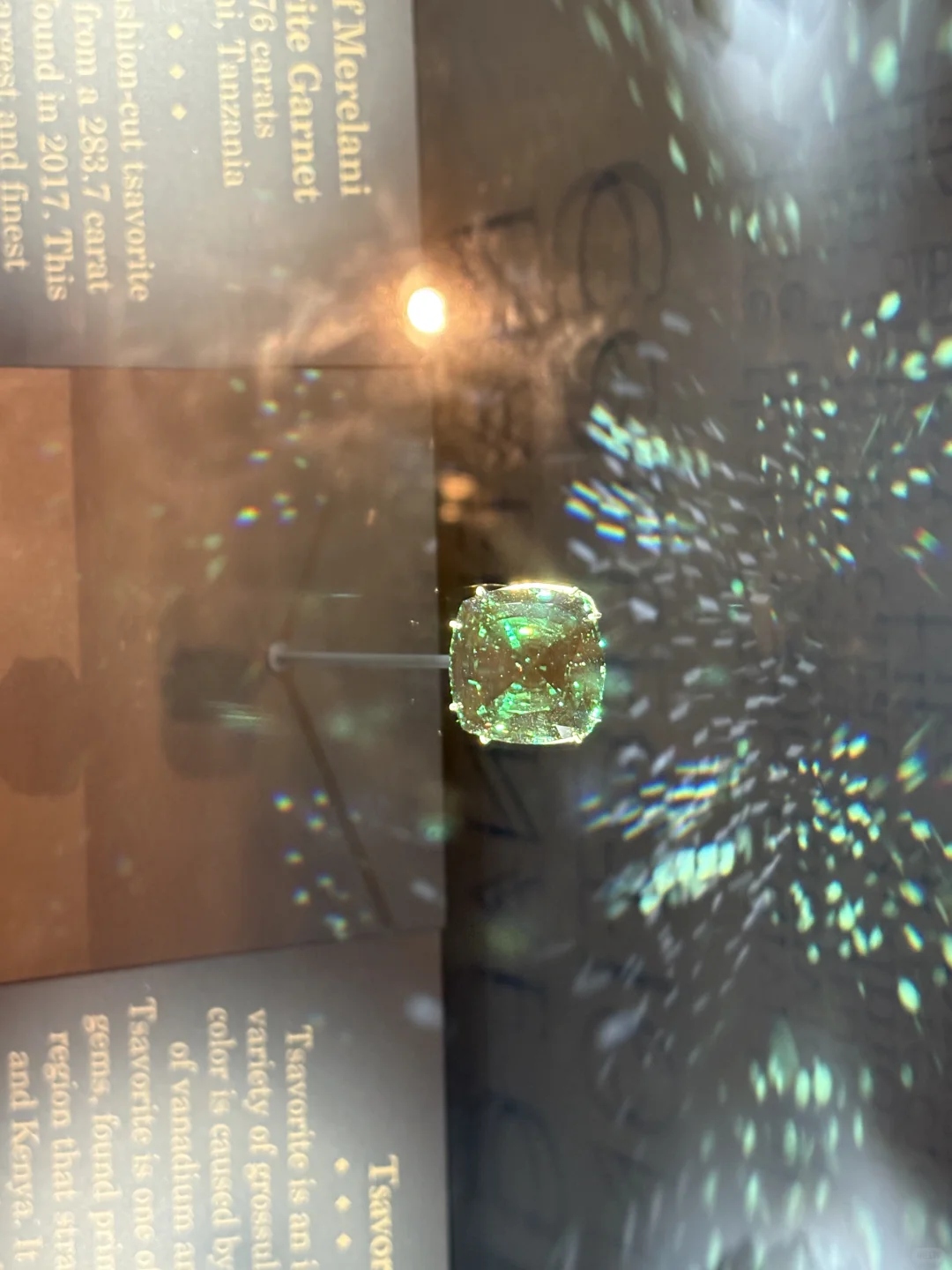 终于看到了海洋之心！