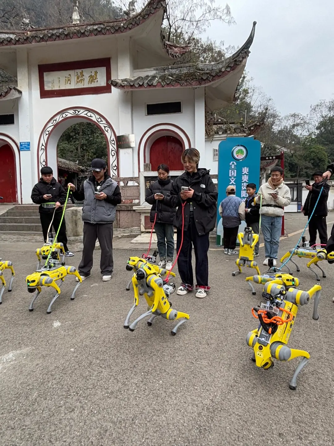 恩施展览会博览会运动会，机器狗表演，租赁