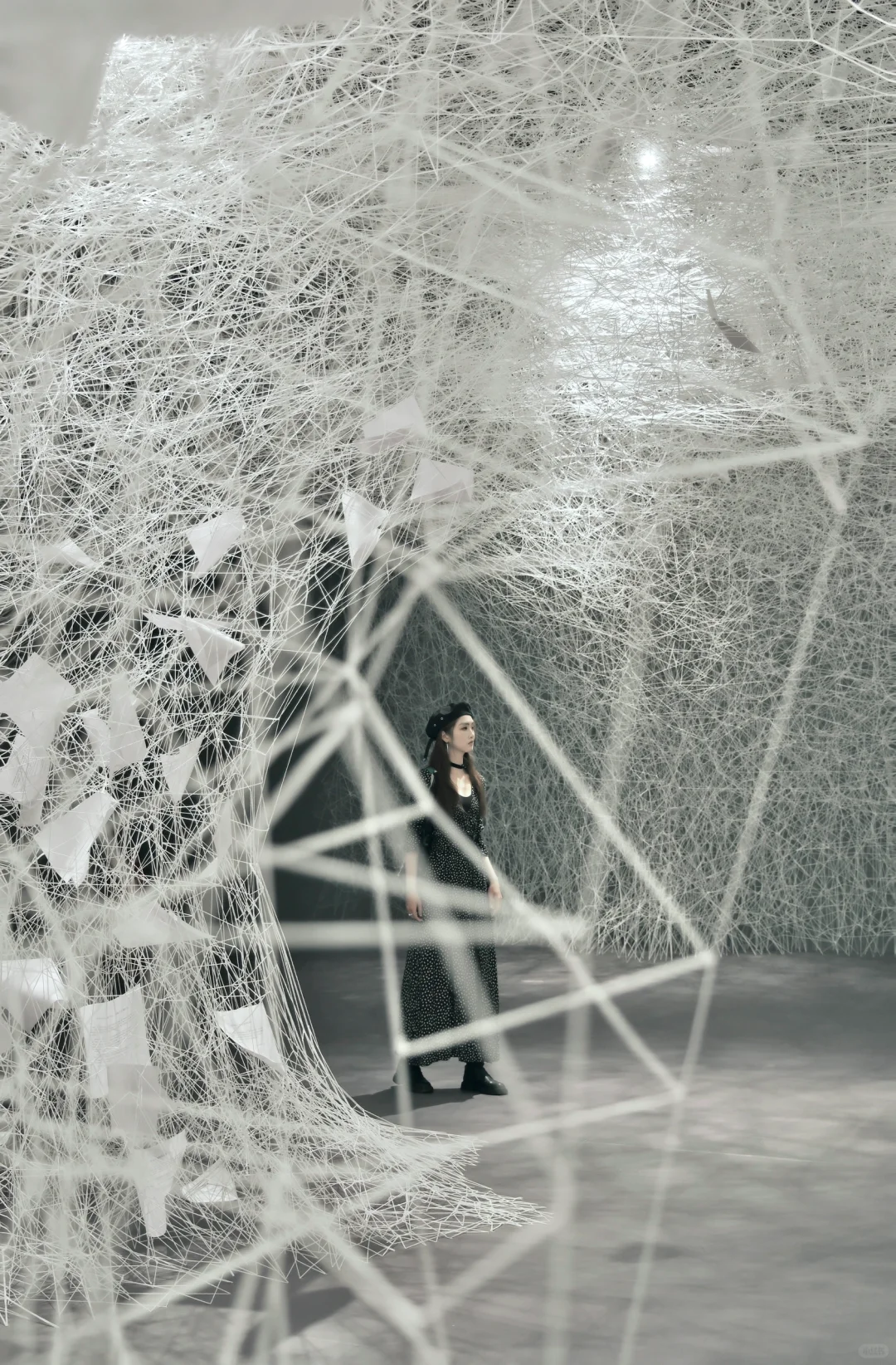 深圳?免预约❗️近期最震撼的新展❗️