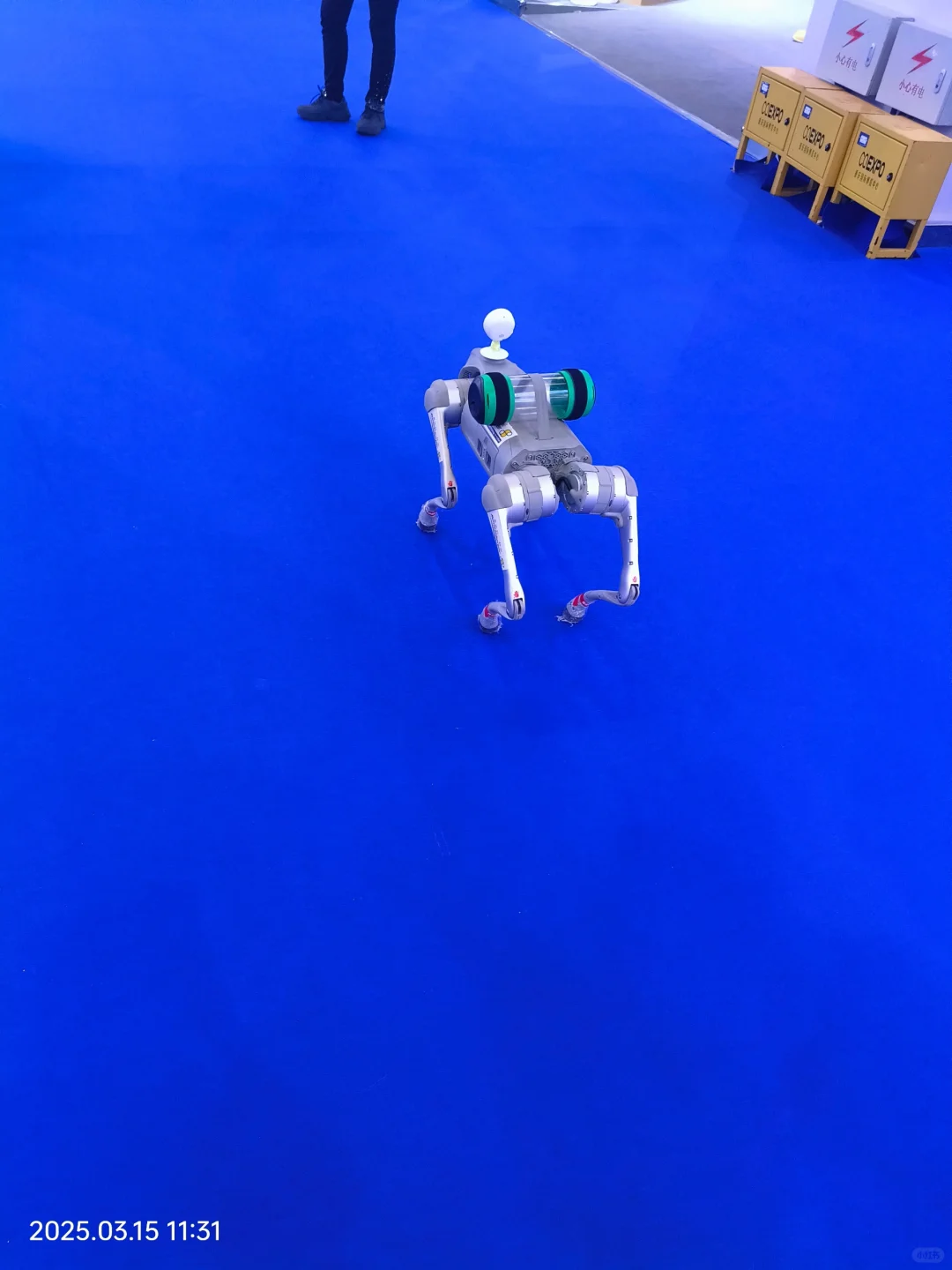 展览会结束了，见到真的了