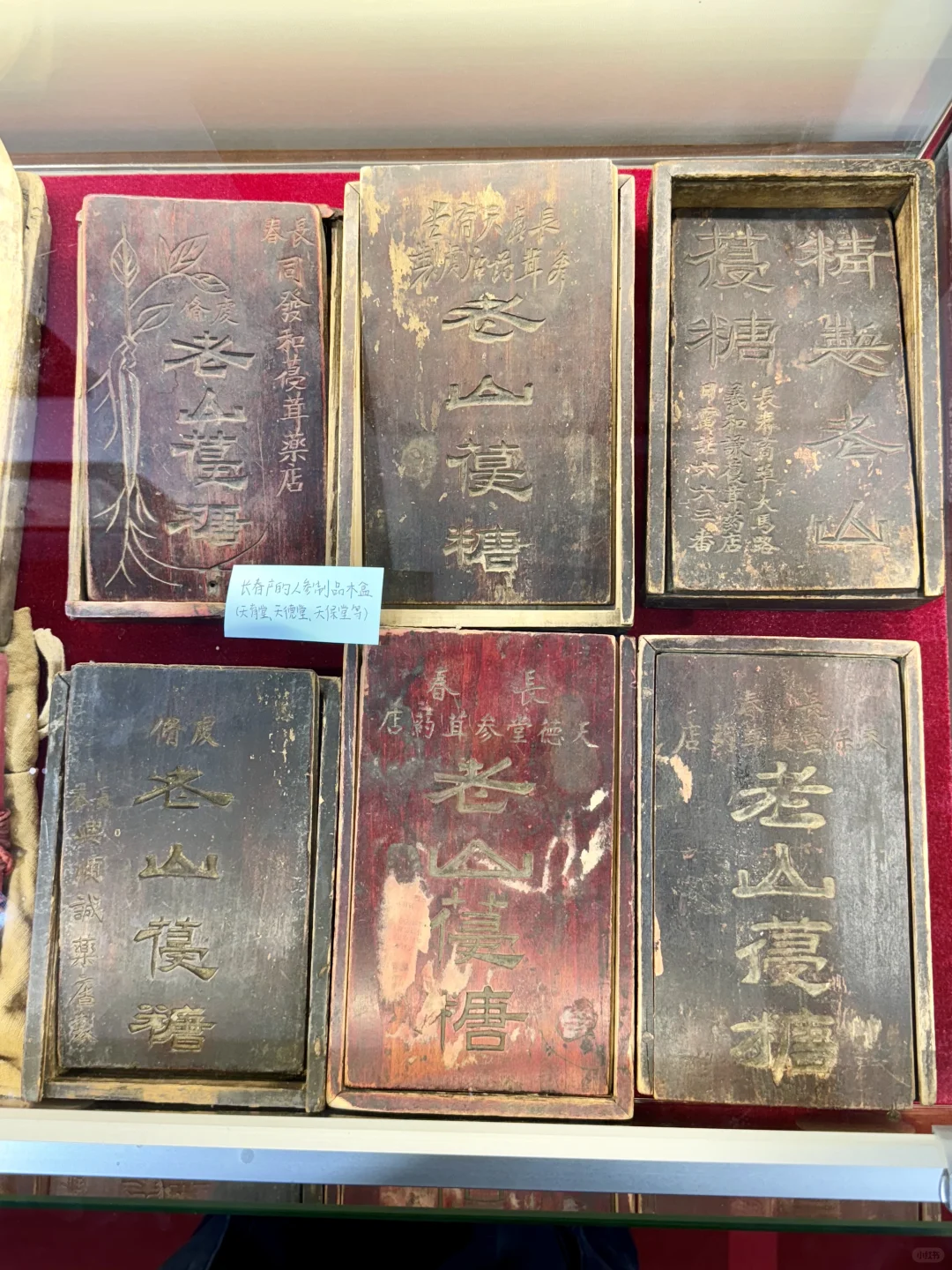 ?百年长春｜穿越时光的浪漫之旅