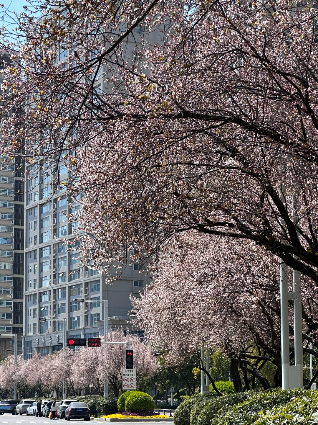 3月17号实况 郑州会展中心美的让人尖叫?