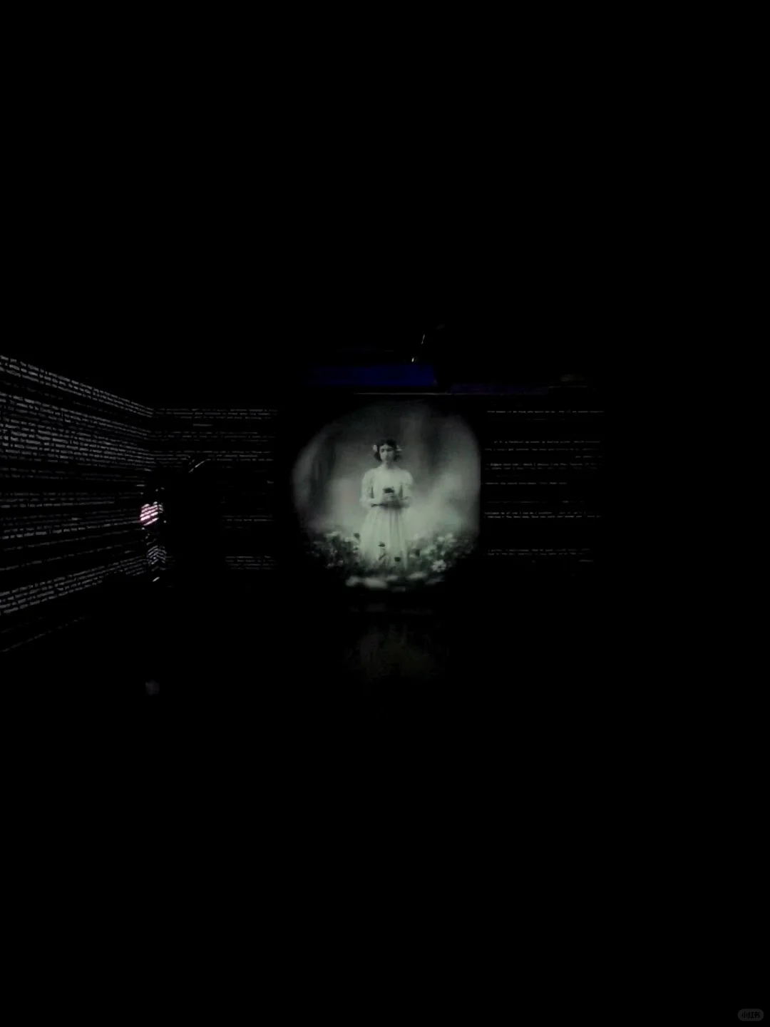 【深圳新展】数字世界真的太好拍了‼️