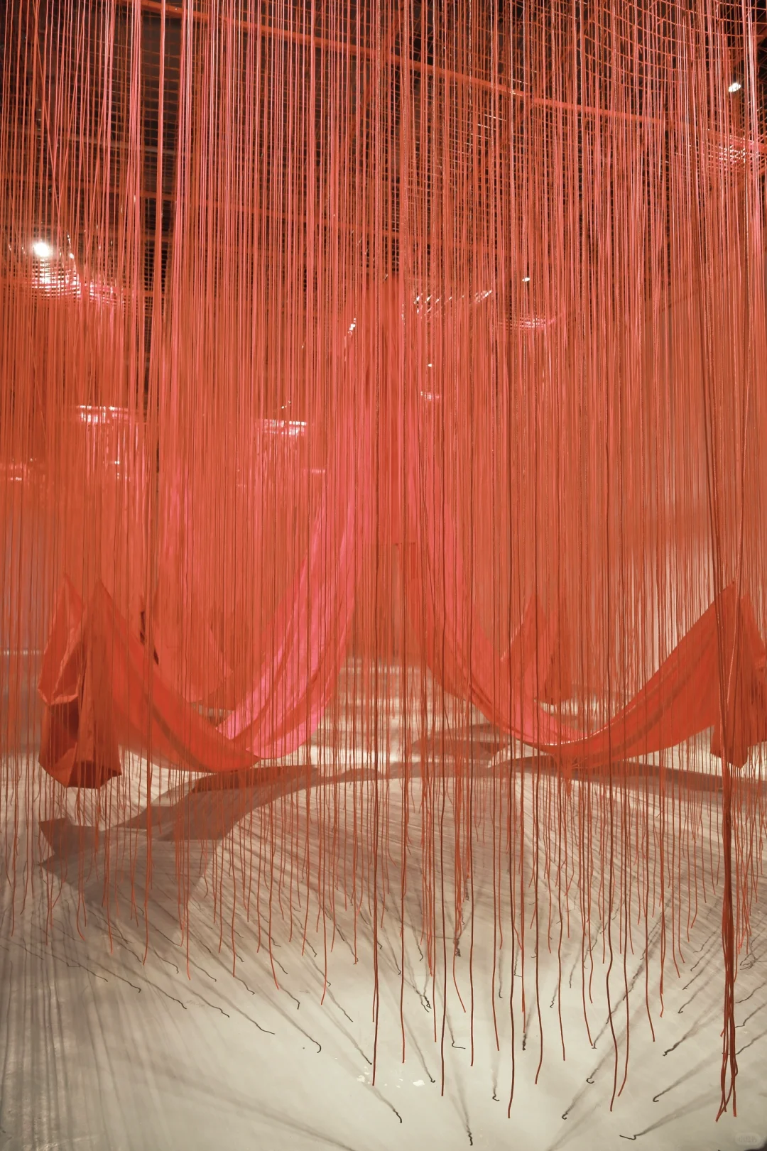 深圳?免预约❗️近期最震撼的新展❗️