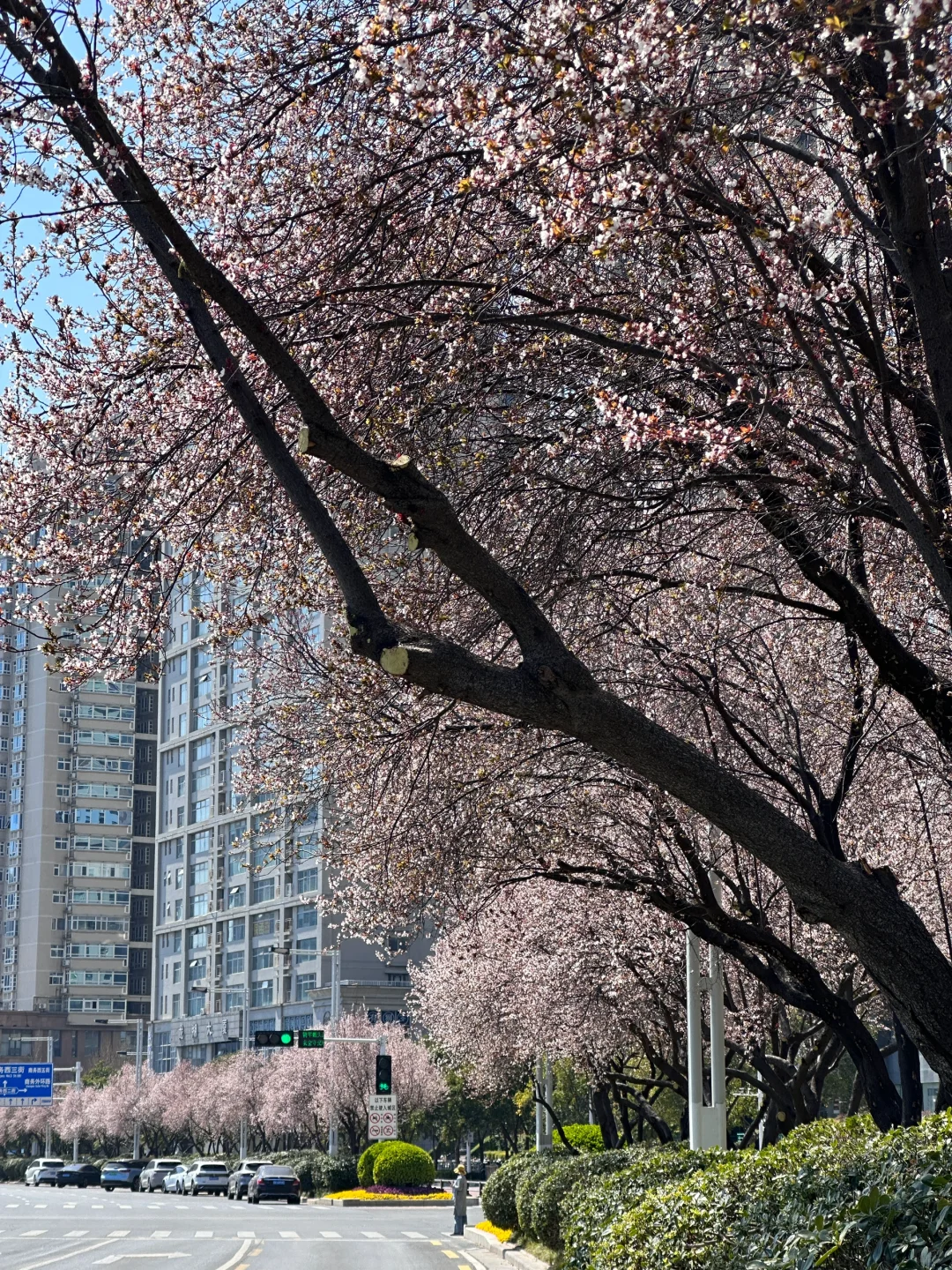 3月17号实况 郑州会展中心美的让人尖叫?