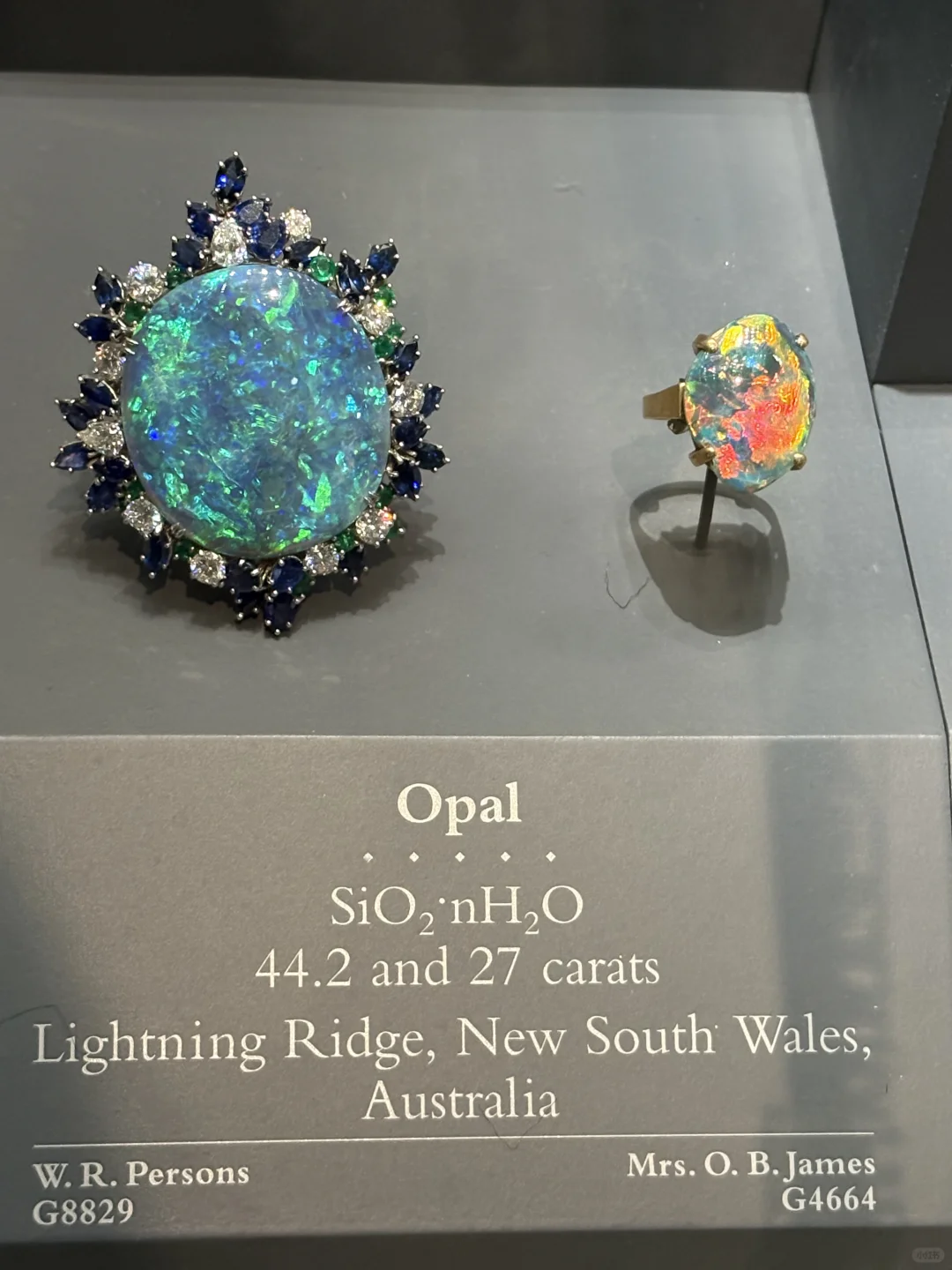 终于看到了海洋之心！