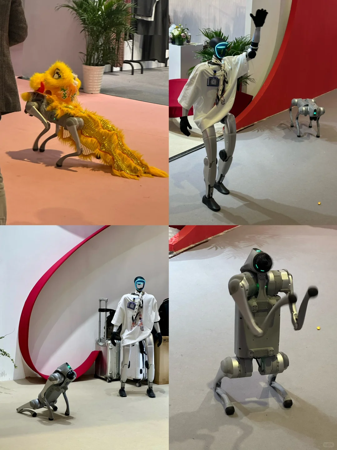 上海新展｜CHIC2025的东方美学和国风意境