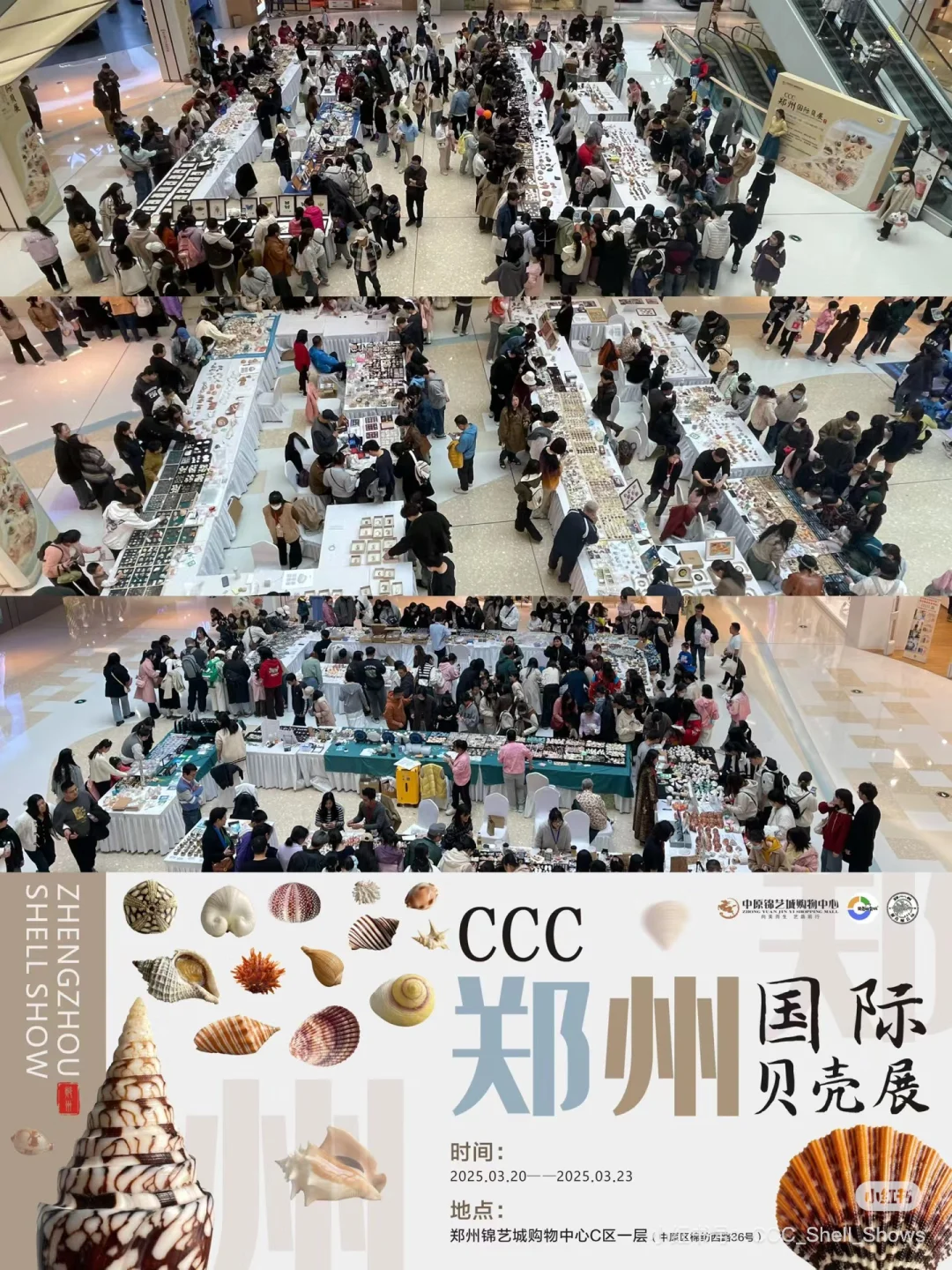 郑州国际贝壳展
