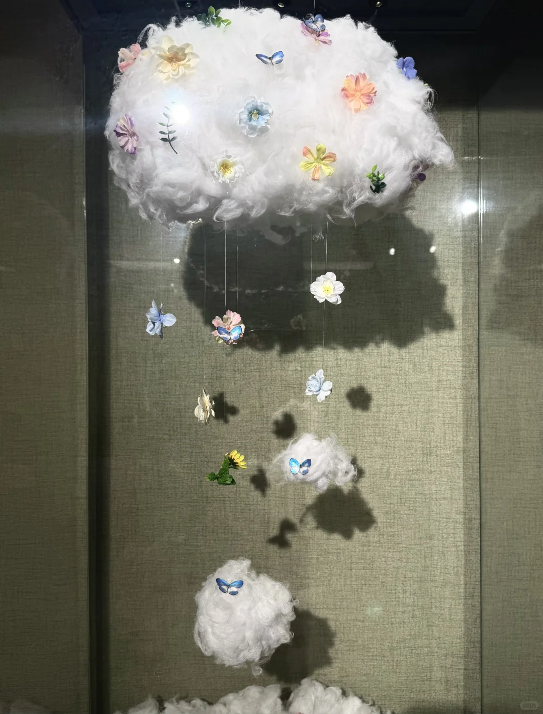 ?深圳蝴蝶展｜人少展美且不用预约