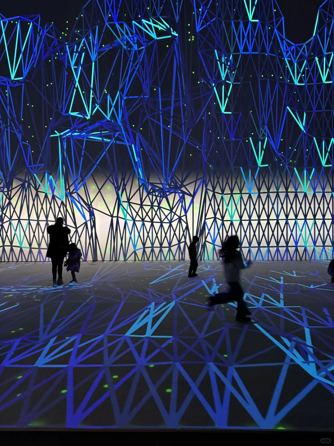 ??巴黎 沉浸式 感官游乐场 ｜数字艺术