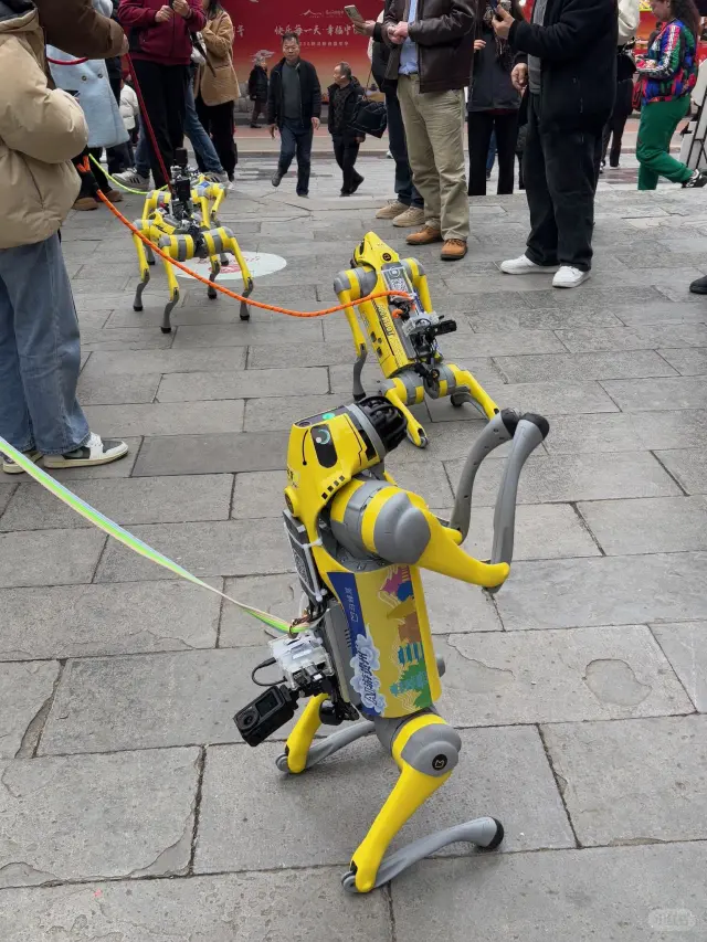 大健康展览会，医疗展览会，武汉机器狗跳舞
