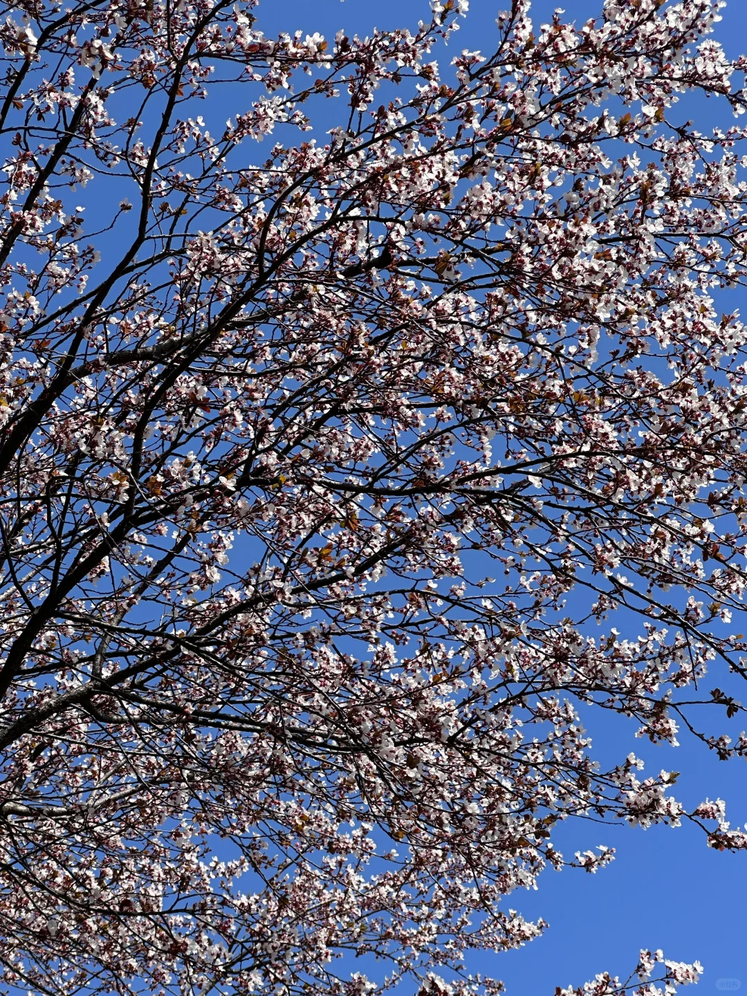 3月17号实况 郑州会展中心美的让人尖叫?