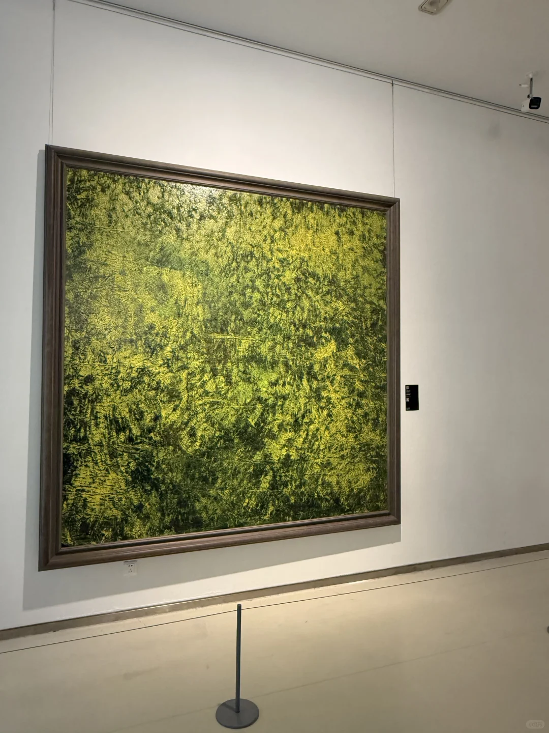 春暖花开，看了個展?Art District?