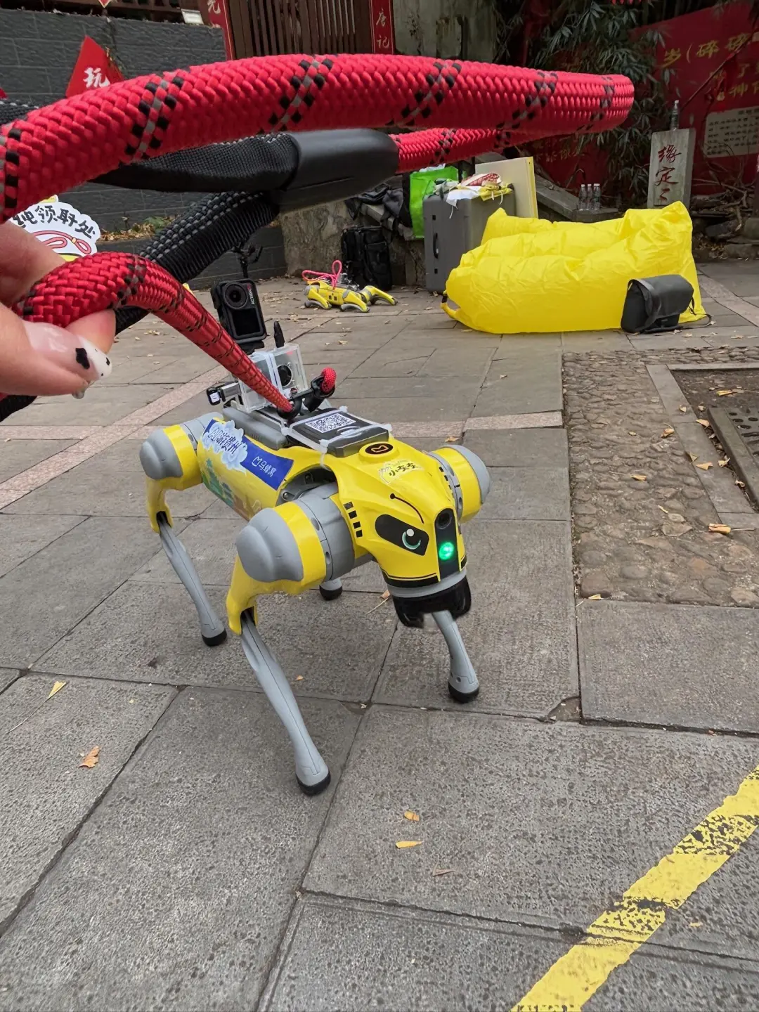 恩施展览会博览会运动会，机器狗表演，租赁