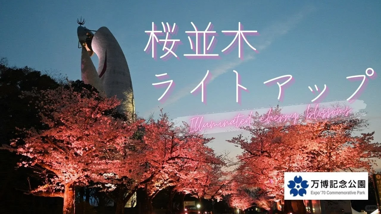 赏樱打卡地[樱花R]大阪吹田市万博纪念公园