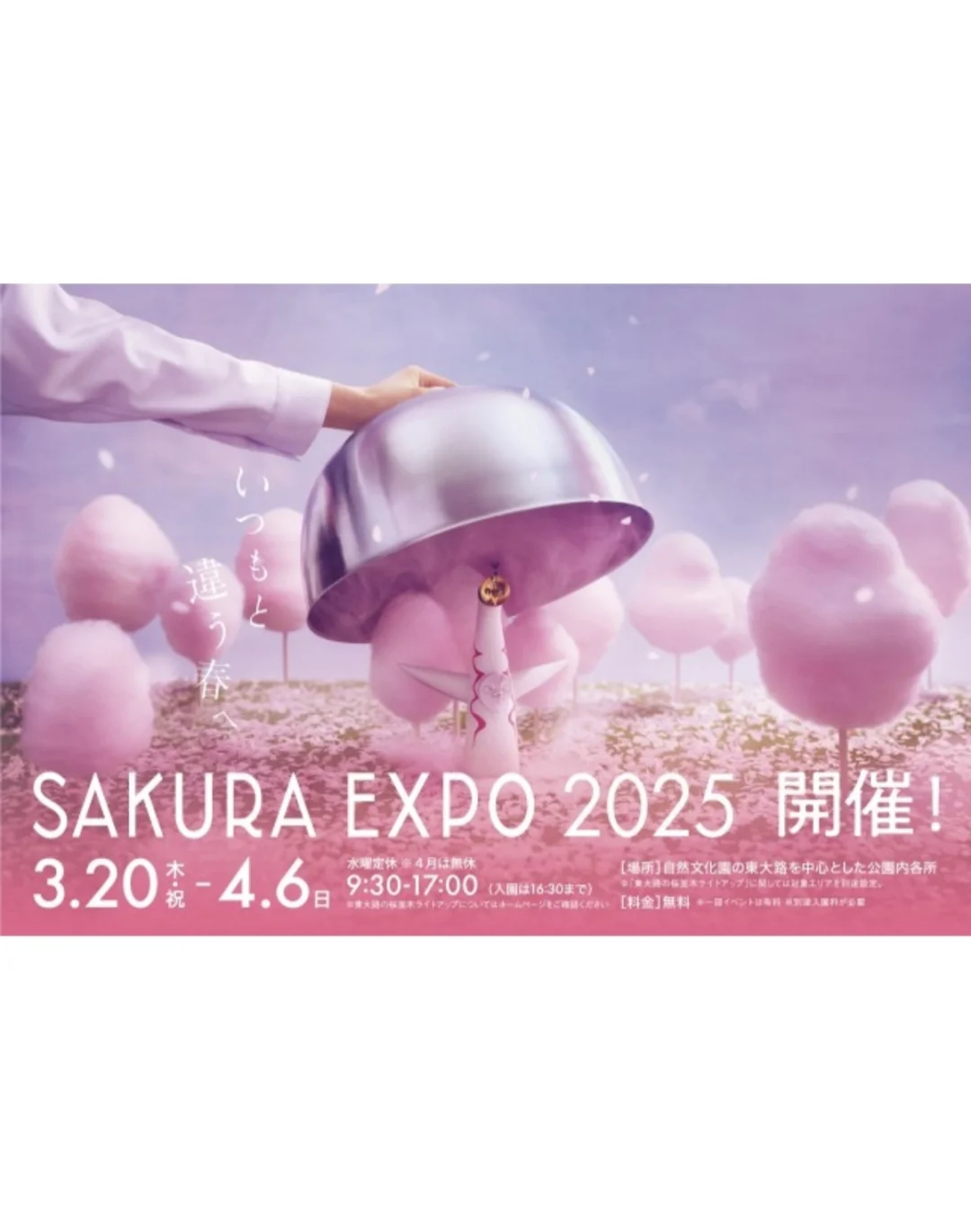 赏樱打卡地[樱花R]大阪吹田市万博纪念公园