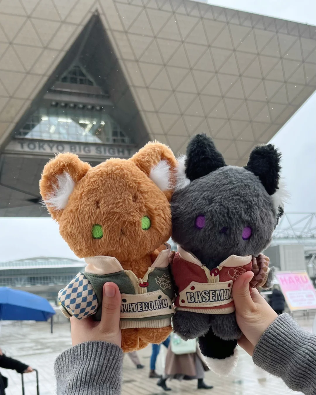 闪现！国际会展