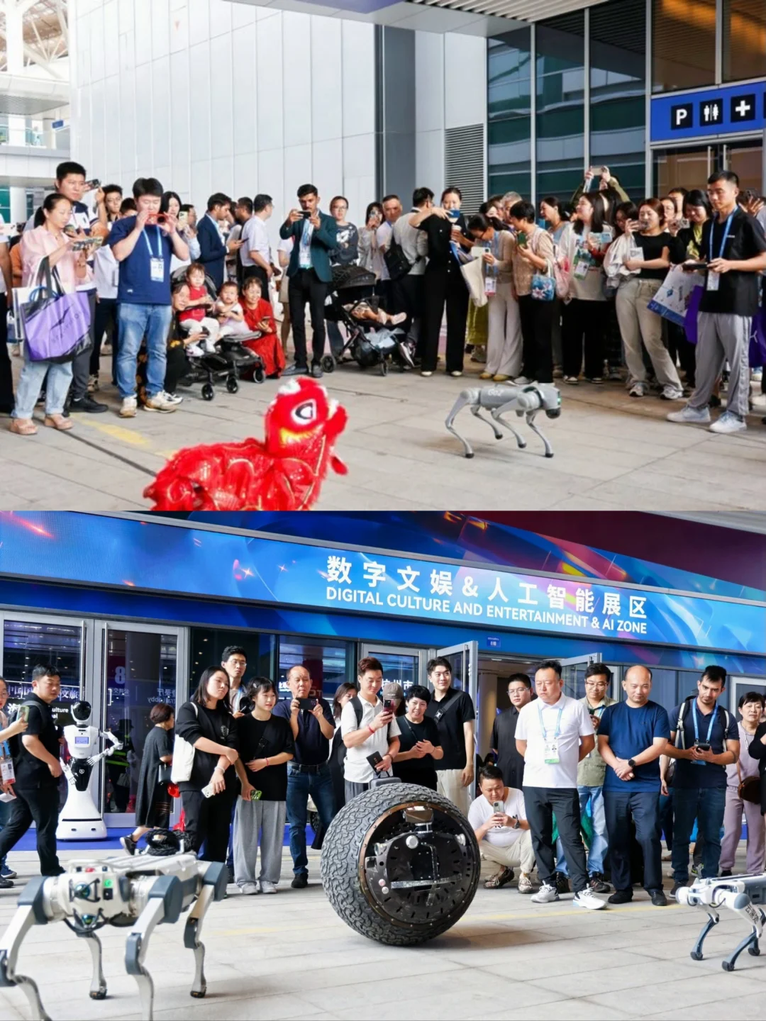 在杭州！！遇到了未来机器人?