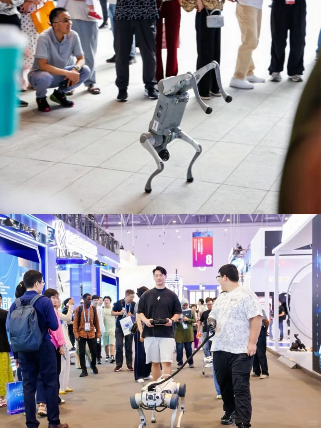 在杭州！！遇到了未来机器人?