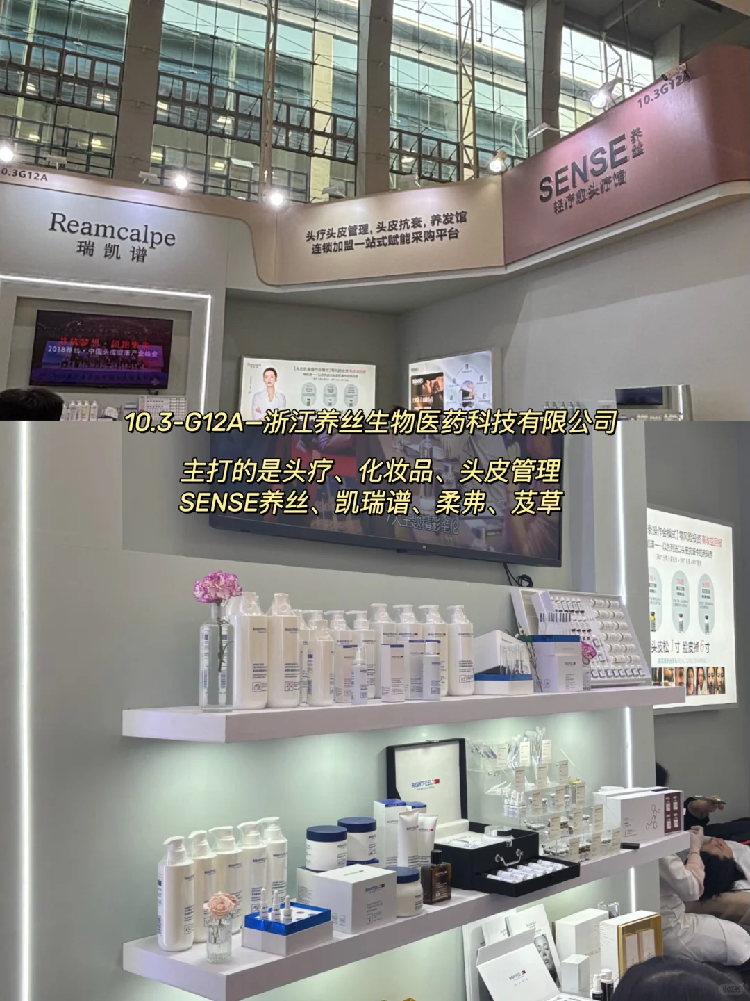 广州博览会打卡攻略来啦！