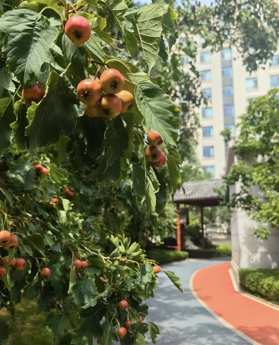 3.17-3.23 TK高端论坛活动开启免费预约啦