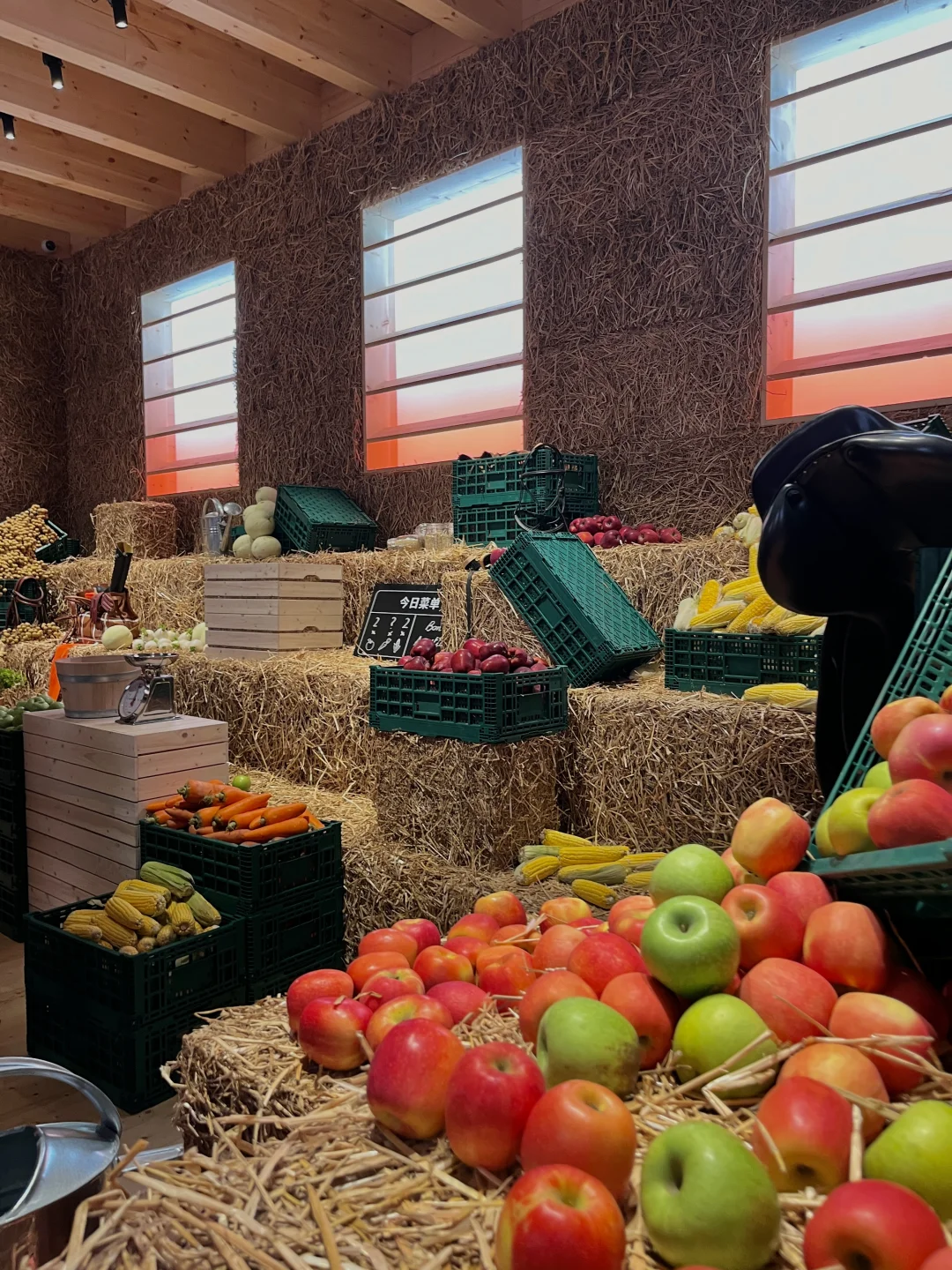 Episode.4. 爱马仕·骑境迷踪