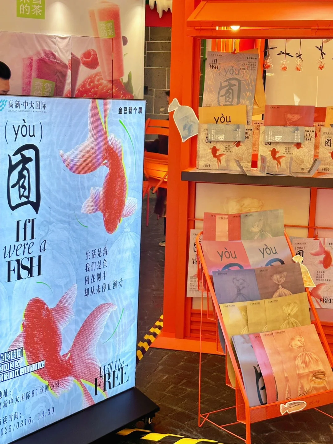 太梦幻了！仿佛进入金鱼梦境