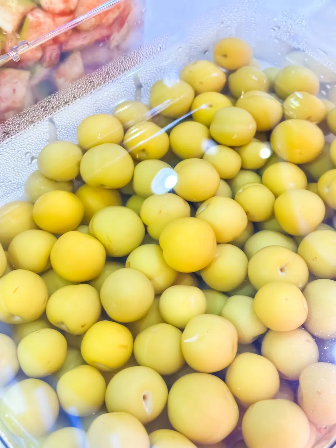 这是有多得宠啊？！旅游展区这里也有！