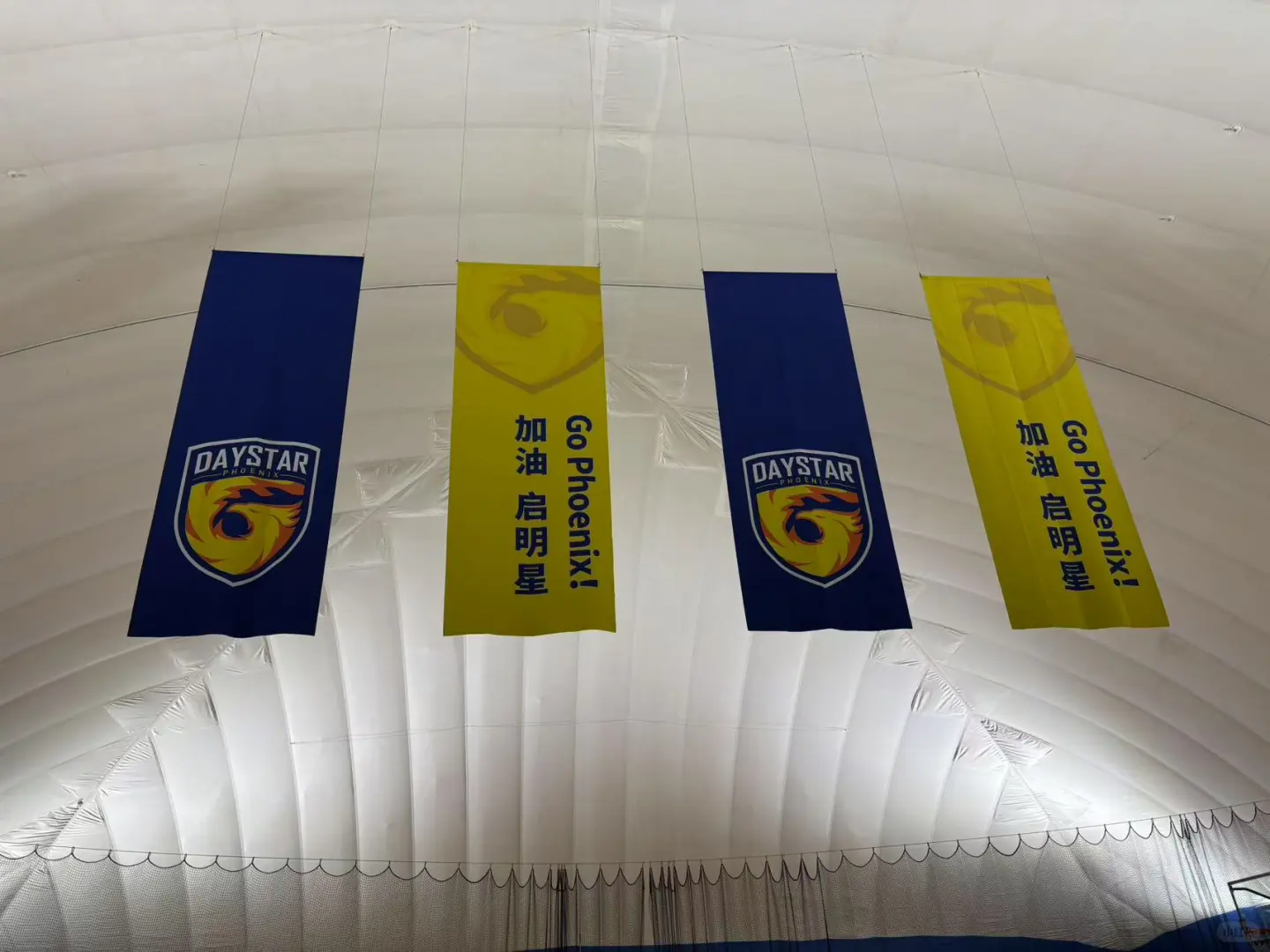 去启明星看大学展览了。